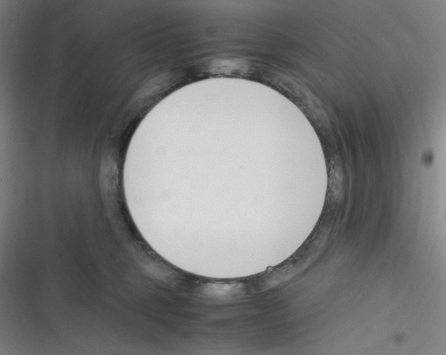 X0000116330375201001131029