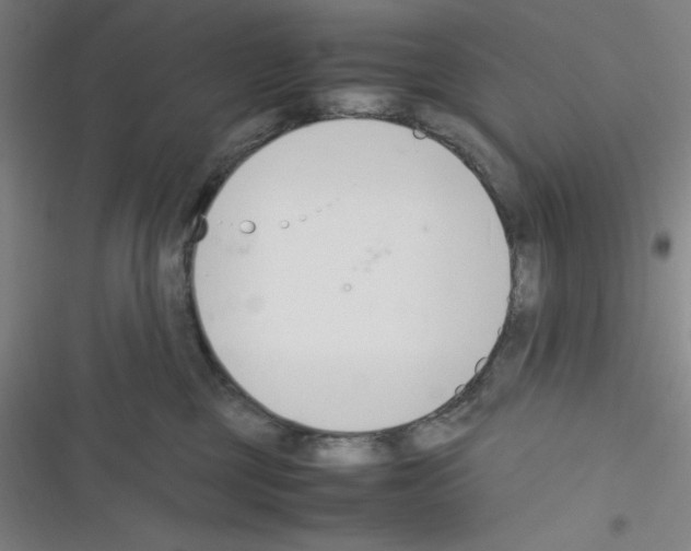 X0000116330377201001131029
