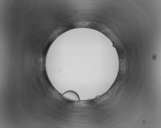 X0000116330378201001131029