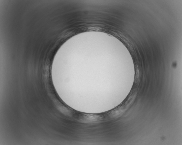 X0000116330379201001131029