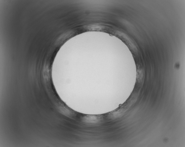 X0000116330381201001131029