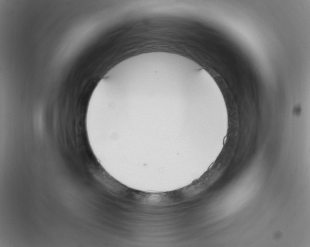 X0000116330382201001131029