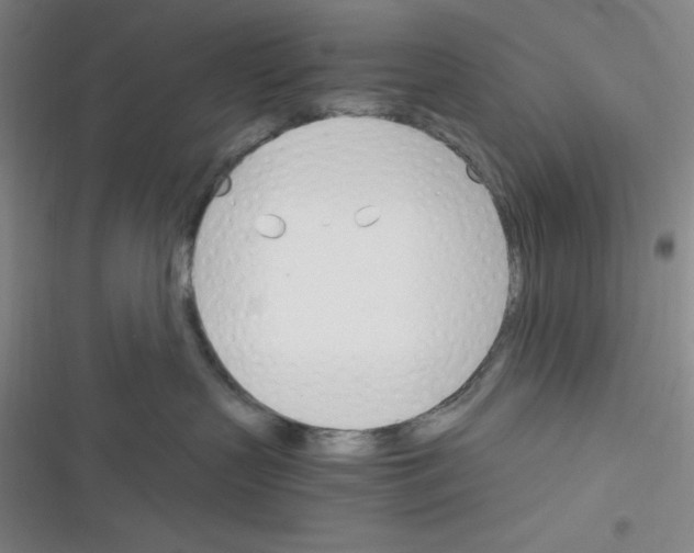 X0000116330383201001131029