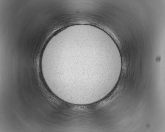 X0000116330386201001131029