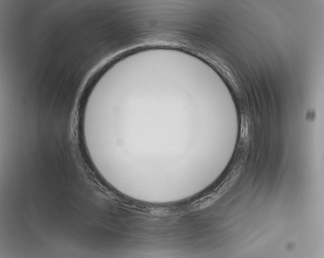X0000116330388201001131029