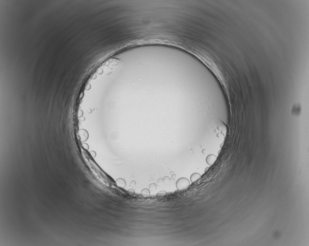 X0000116330389201001131029