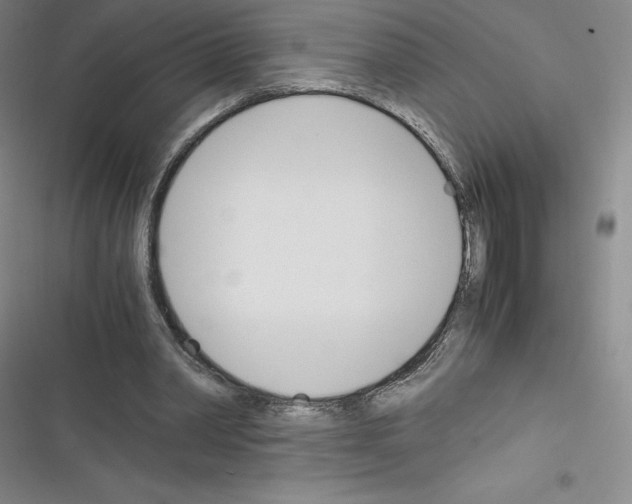 X0000116330390201001131029