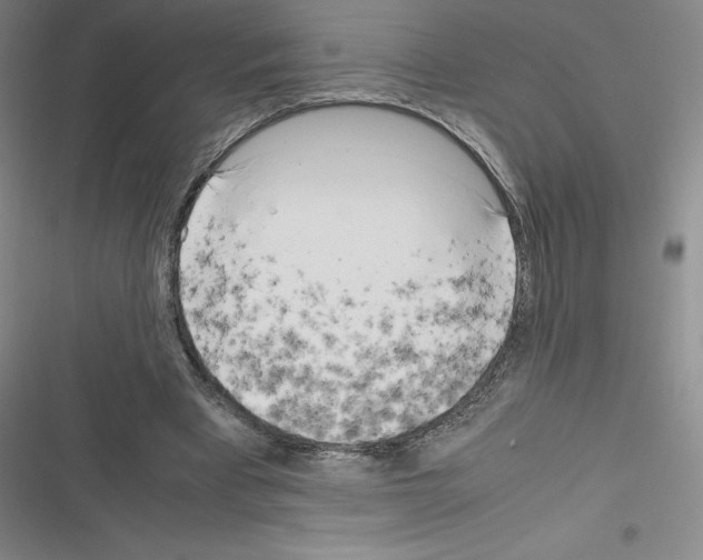 X0000116330393201001131029