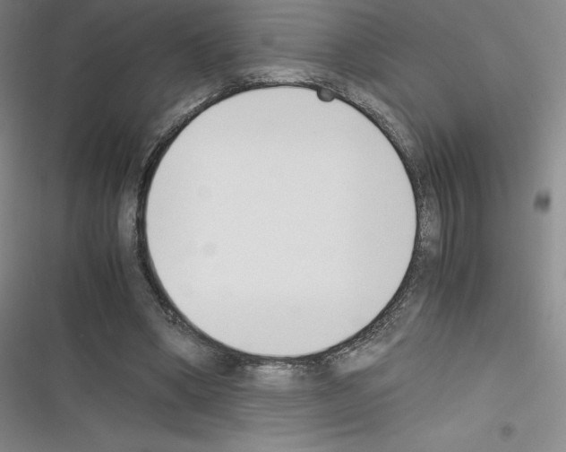 X0000116330394201001131029