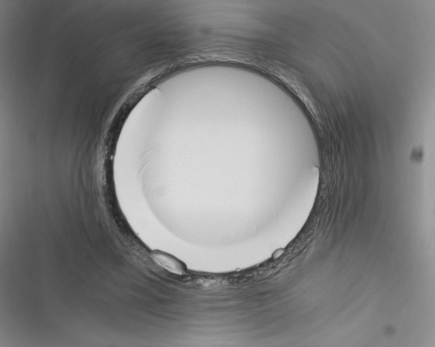 X0000116330395201001131029