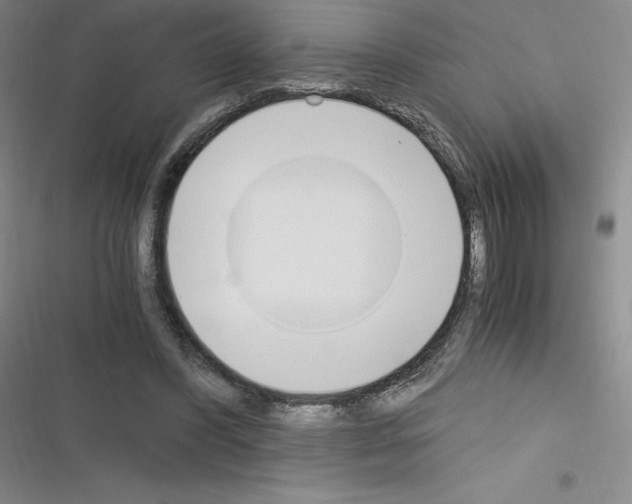 X0000116330396201001131029