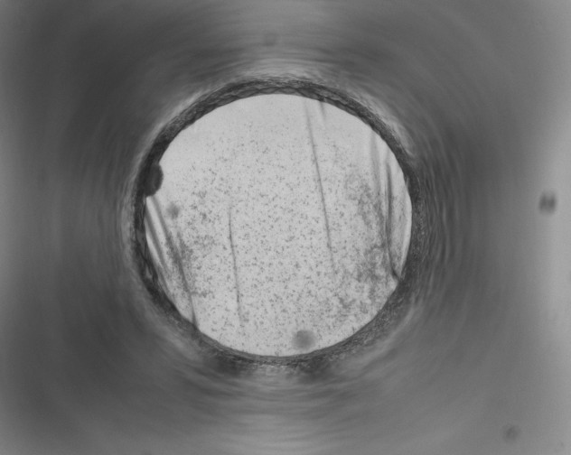 X0000116330399201001131029
