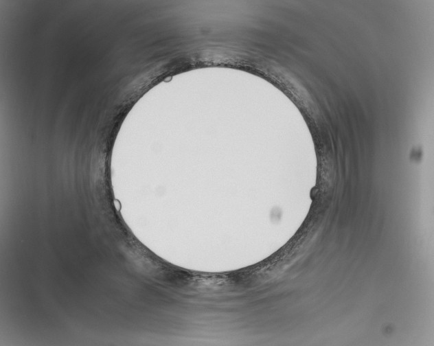 X0000116330401201001131028