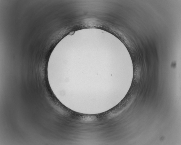 X0000116330402201001131028