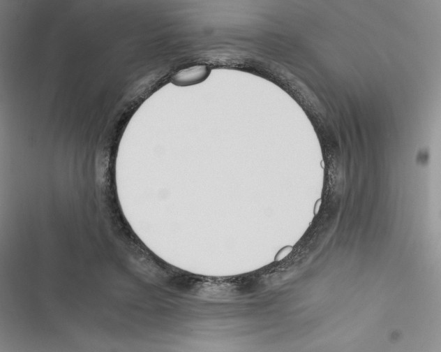 X0000116330403201001131028