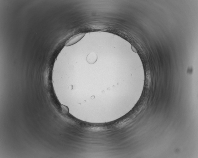 X0000116330404201001131028