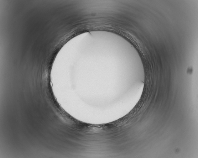 X0000116330405201001131028