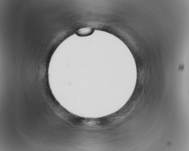 X0000116330407201001131028