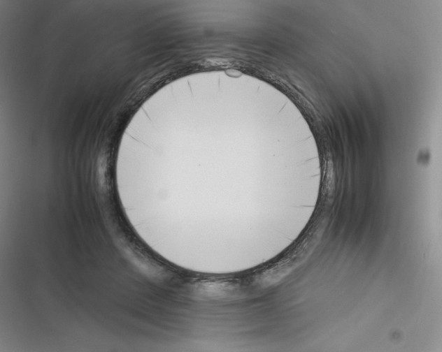 X0000116330408201001131028