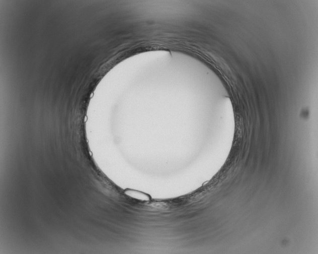 X0000116330409201001131028
