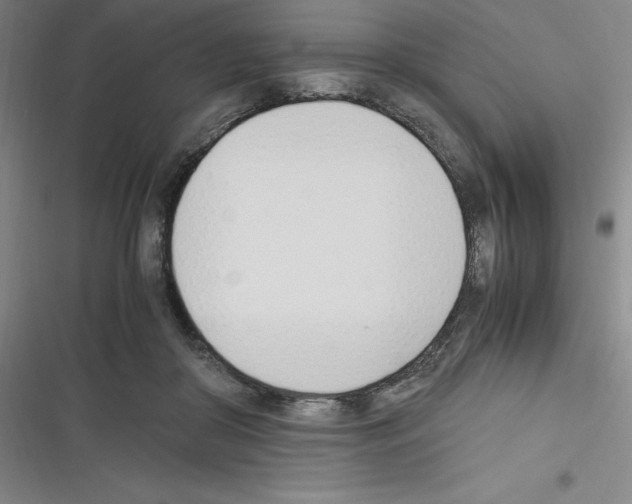 X0000116330410201001131028