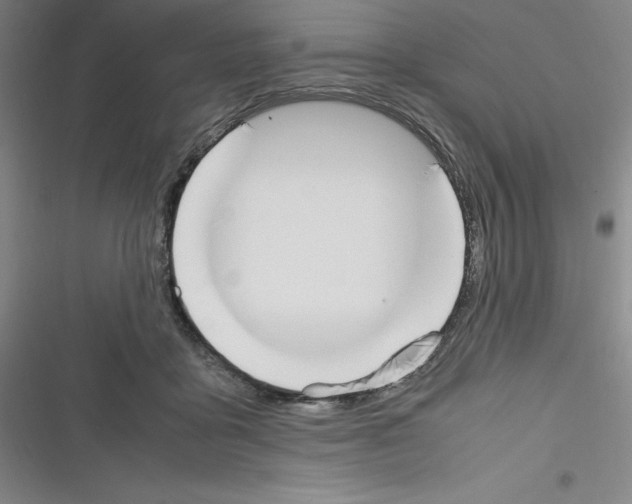 X0000116330411201001131028