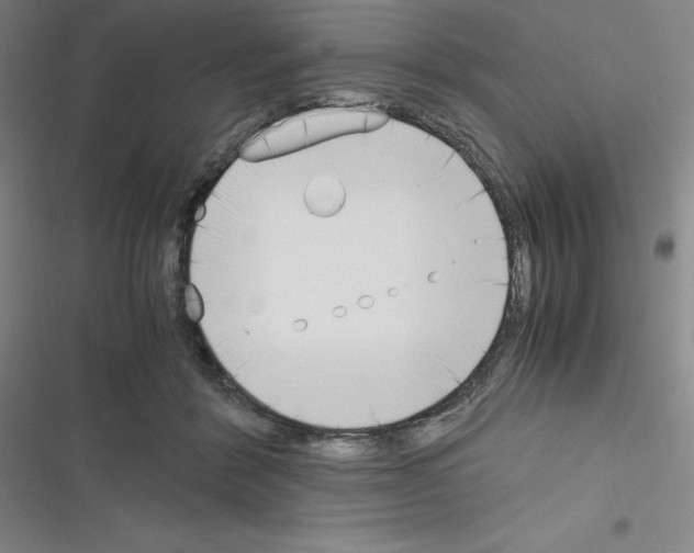 X0000116330412201001131028