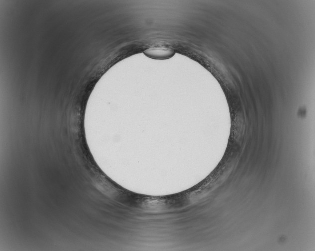 X0000116330413201001131028