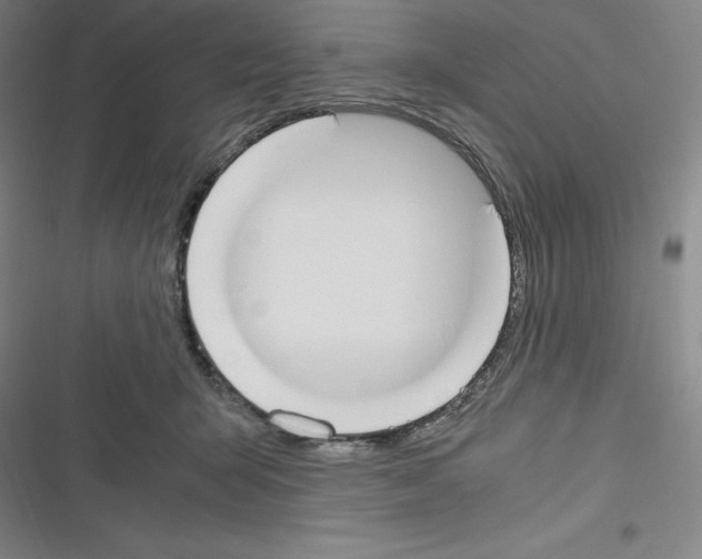 X0000116330415201001131028