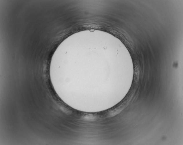 X0000116330416201001131028
