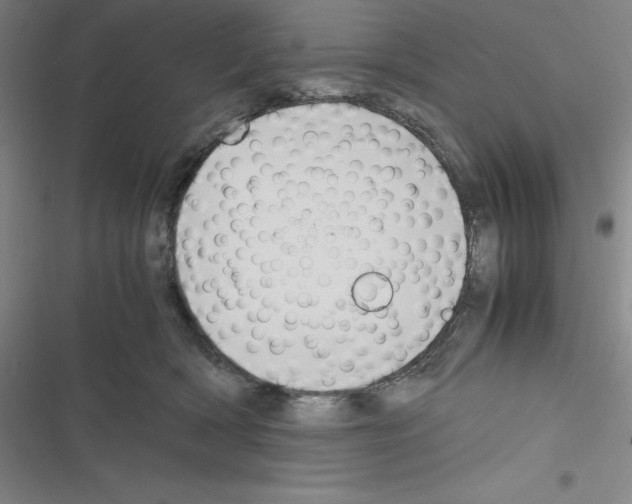 X0000116330418201001131028
