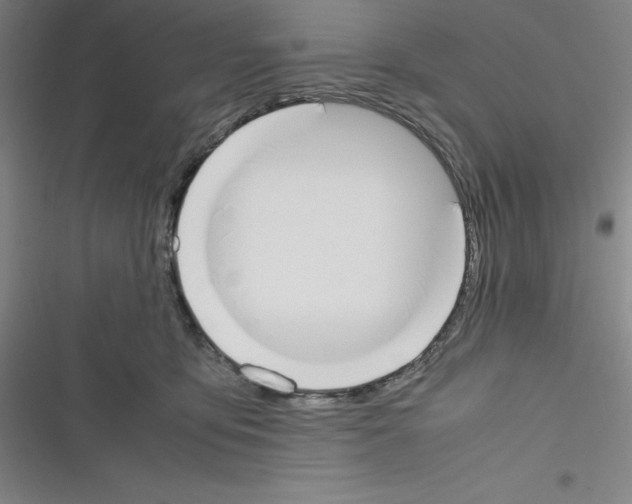 X0000116330419201001131028