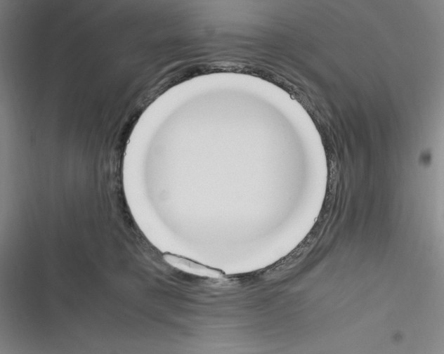 X0000116330421201001131028