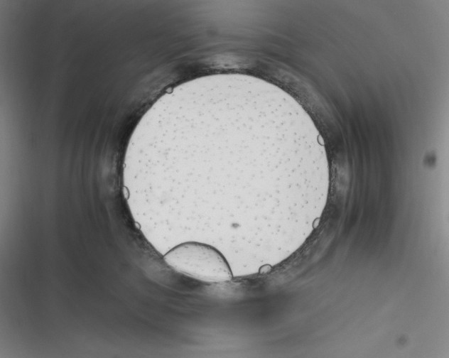 X0000116330422201001131028