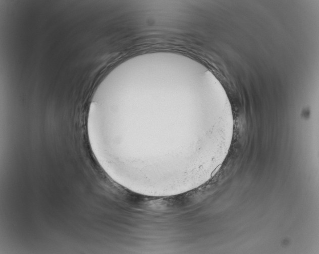 X0000116330423201001131028
