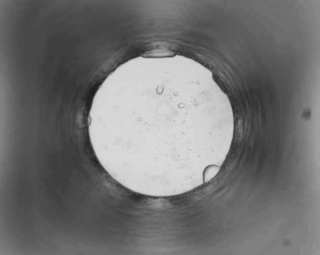 X0000116330424201001131028
