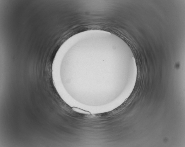X0000116330425201001131028