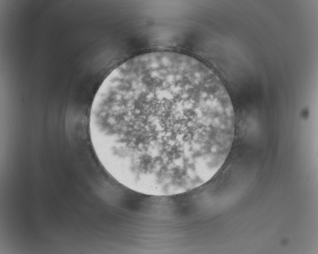X0000116330427201001131028