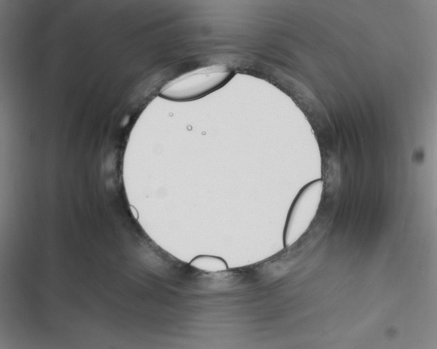 X0000116330428201001131028