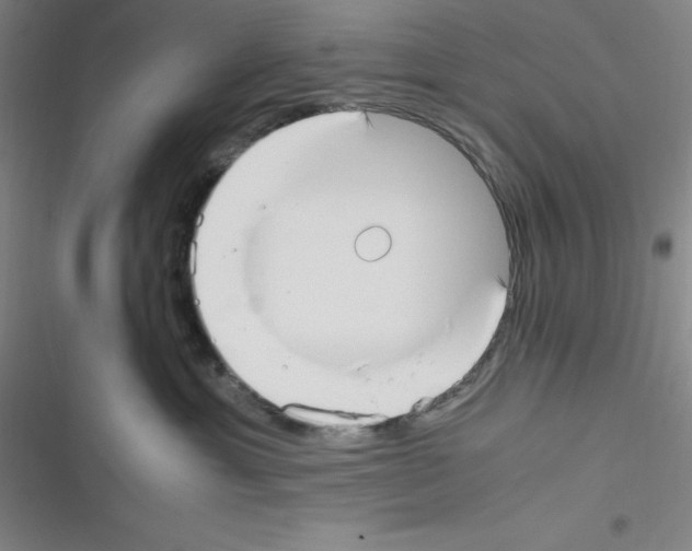 X0000116330429201001131028