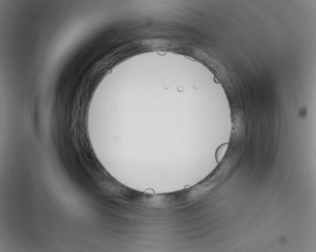 X0000116330430201001131028