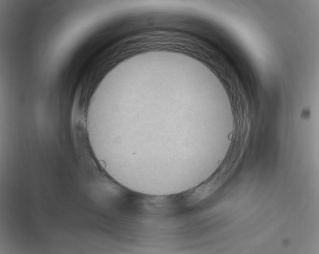 X0000116330431201001131028