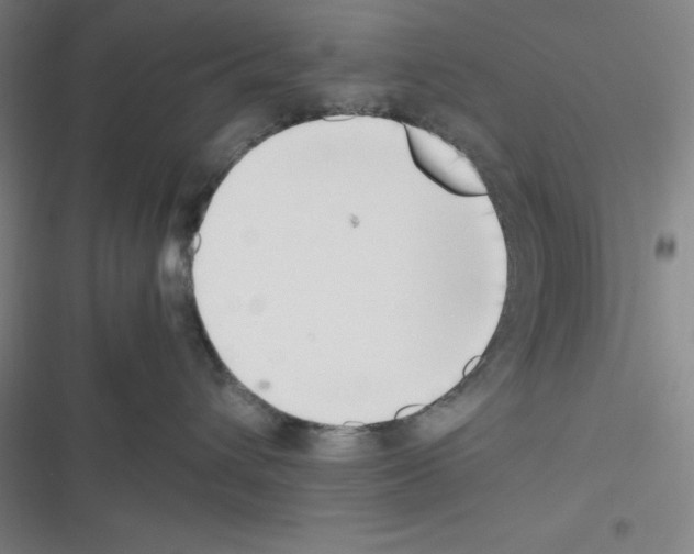 X0000116330432201001131028