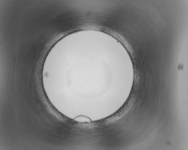 X0000116330433201001131027