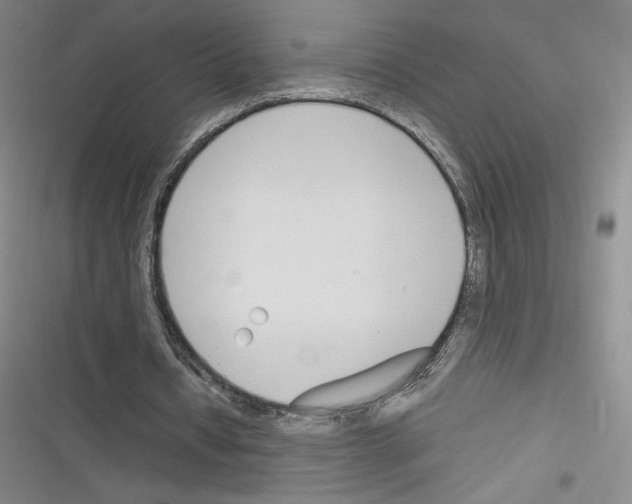 X0000116330434201001131027