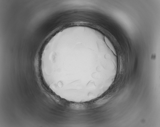 X0000116330435201001131027