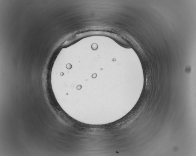 X0000116330436201001131027