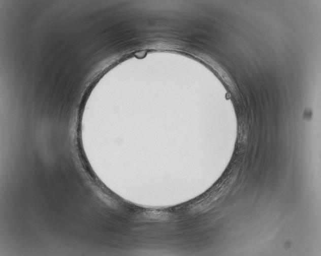 X0000116330437201001131027