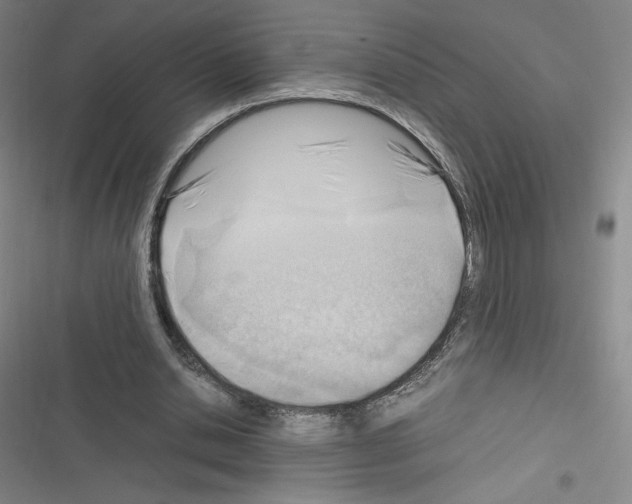 X0000116330438201001131027