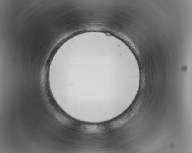 X0000116330439201001131028